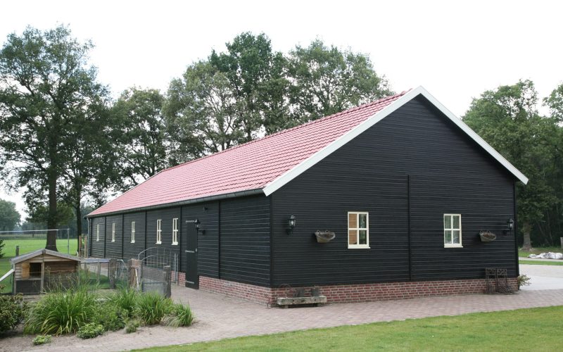 Saksische woning Albergen